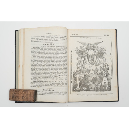 FLORA. Czasopismo botaniczno–ogrodnicze. Organ Lwowskiego Towarzystwa. I-VI,  1870