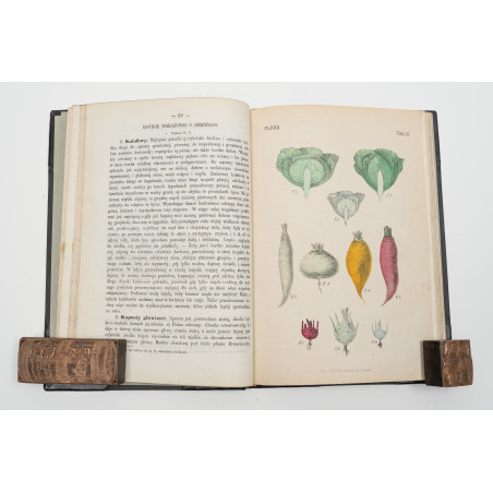 FLORA. Czasopismo botaniczno–ogrodnicze. Organ Lwowskiego Towarzystwa. I-VI,  1870