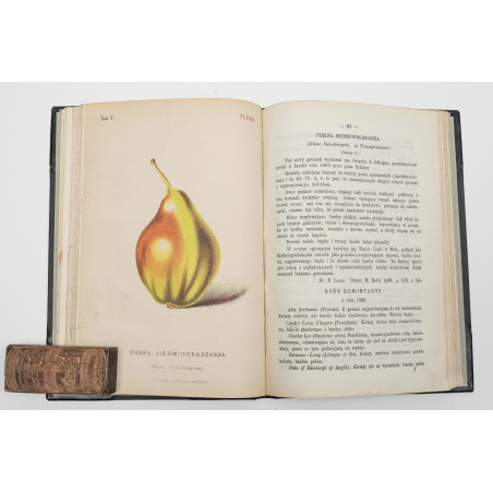 FLORA. Czasopismo botaniczno–ogrodnicze. Organ Lwowskiego Towarzystwa. I-VI,  1870