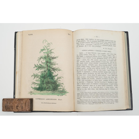 FLORA. Czasopismo botaniczno–ogrodnicze. Organ Lwowskiego Towarzystwa. I-VI,  1870