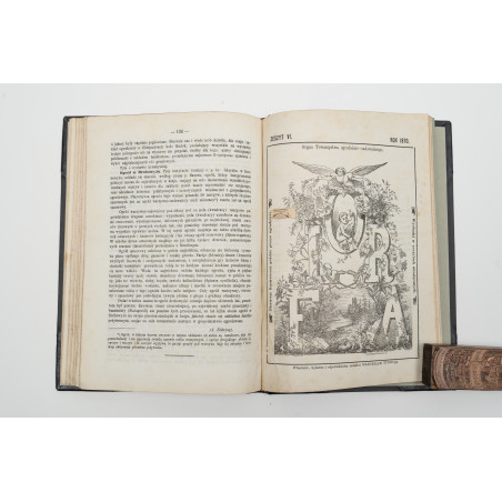 FLORA. Czasopismo botaniczno–ogrodnicze. Organ Lwowskiego Towarzystwa. I-VI,  1870