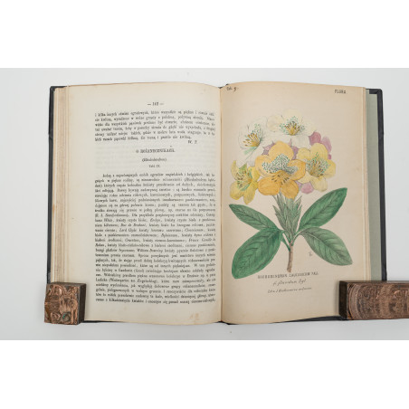 FLORA. Czasopismo botaniczno–ogrodnicze. Organ Lwowskiego Towarzystwa. I-VI,  1870