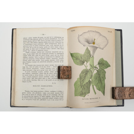 FLORA. Czasopismo botaniczno–ogrodnicze. Organ Lwowskiego Towarzystwa. I-VI,  1870