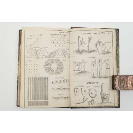 [GIŻYCKI K.], Ogrodnictwo zastosowane do potrzeb ziemianina polskiego, Lwów 1845