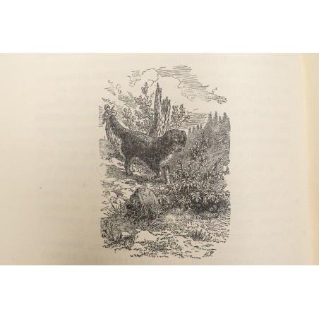 KRONIKI MYŚLIWSKIE Towarzystwa Lisowickiego w ciągu  czternastu lat, Kraków 1921