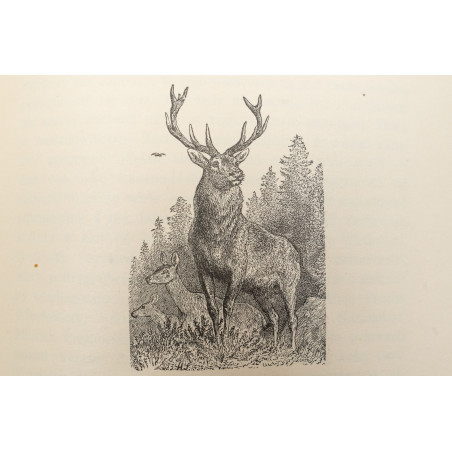 KRONIKI MYŚLIWSKIE Towarzystwa Lisowickiego w ciągu  czternastu lat, Kraków 1921