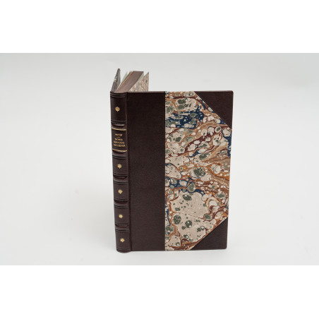 MATTEI C. hr, Nowa elektro-homeopatyczna metoda leczenia. Przez J.B., Wilno 1879