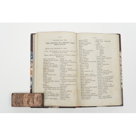 MATTEI C. hr, Nowa elektro-homeopatyczna metoda leczenia. Przez J.B., Wilno 1879