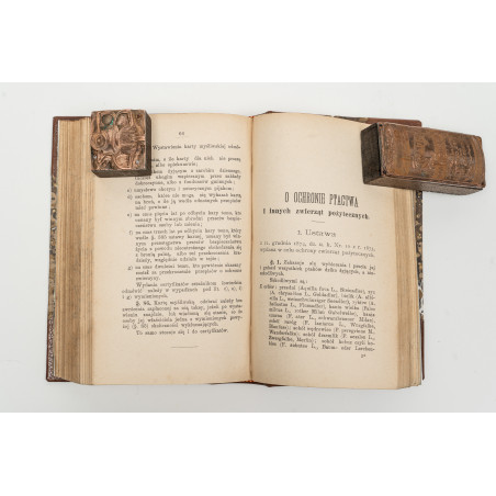 DZEROWICZ W., Podręcznik prawny w sprawach lasowych, polowych, łowieckich i o rybołowstwie, Lwów 1898