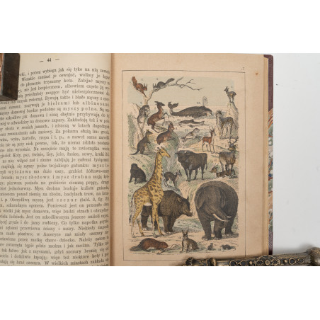 STRAESSLE Fr., Historya naturalna dla młodzieży. Wydanie czwarte, Warszawa 1887