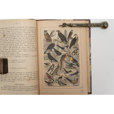 STRAESSLE Fr., Historya naturalna dla młodzieży. Wydanie czwarte, Warszawa 1887