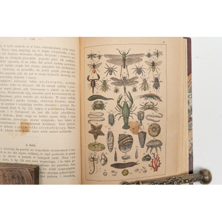STRAESSLE Fr., Historya naturalna dla młodzieży. Wydanie czwarte, Warszawa 1887