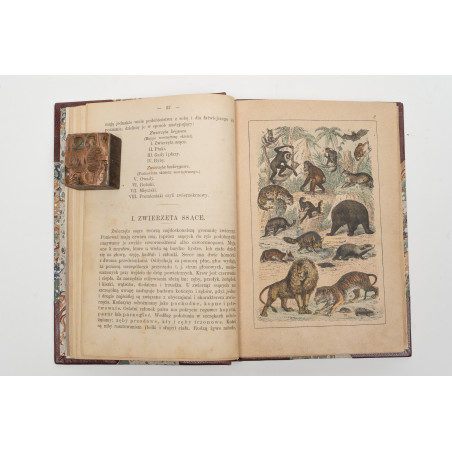 STRAESSLE Fr., Historya naturalna dla młodzieży. Wydanie czwarte, Warszawa 1887