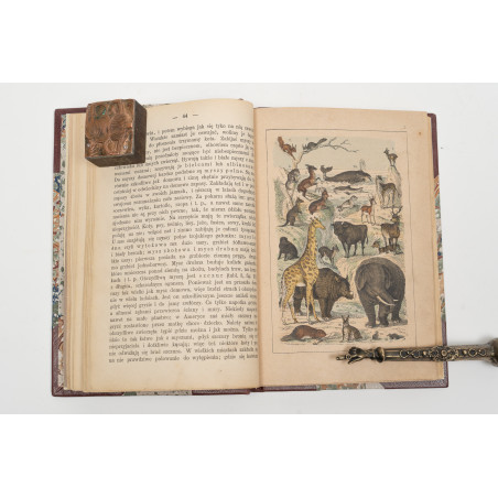 STRAESSLE Fr., Historya naturalna dla młodzieży. Wydanie czwarte, Warszawa 1887