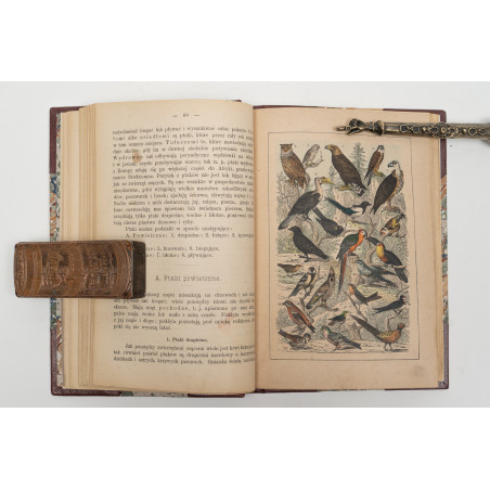 STRAESSLE Fr., Historya naturalna dla młodzieży. Wydanie czwarte, Warszawa 1887