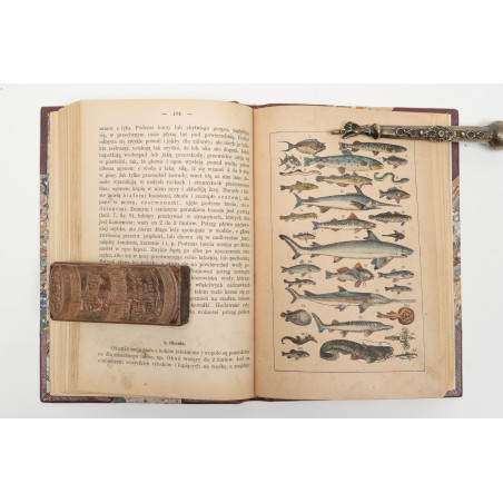 STRAESSLE Fr., Historya naturalna dla młodzieży. Wydanie czwarte, Warszawa 1887