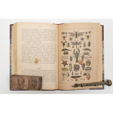 STRAESSLE Fr., Historya naturalna dla młodzieży. Wydanie czwarte, Warszawa 1887