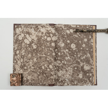 REICHMAN B., Teorya Darwina i hipotezy Haeckela, Warszawa 1873