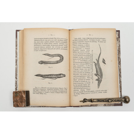 REICHMAN B., Teorya Darwina i hipotezy Haeckela, Warszawa 1873