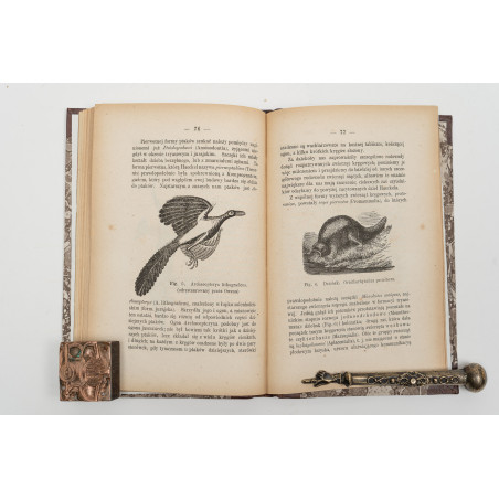 REICHMAN B., Teorya Darwina i hipotezy Haeckela, Warszawa 1873