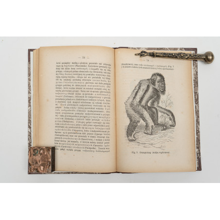 REICHMAN B., Teorya Darwina i hipotezy Haeckela, Warszawa 1873