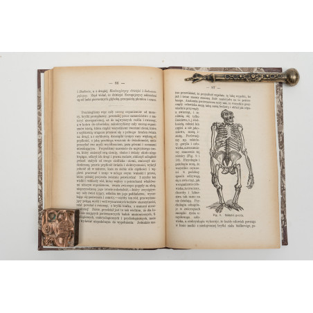 REICHMAN B., Teorya Darwina i hipotezy Haeckela, Warszawa 1873