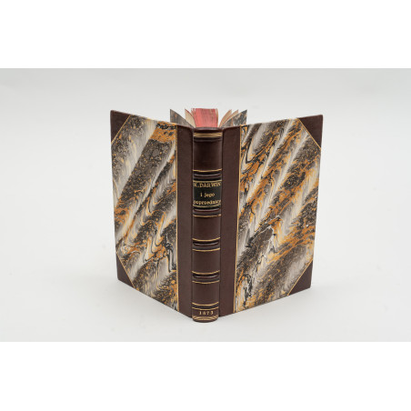 QUATREFAGES A., Karol Darwin i jego poprzednicy. Przeł. J. Ochorowicz, Warszawa 1873