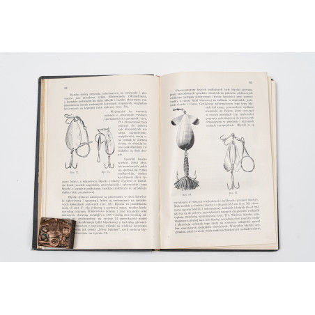 CHOYNOWSKI F., Wędkarstwo na wodach polskich, Warszawa 1939