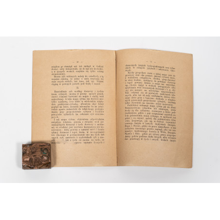 NOWICKI M., Krainy rybne Wisły. Odbitka z 'Reformy', Kraków 1882