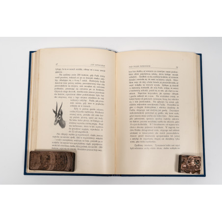 SZTOLCMAN J., Nad Nilem Niebieskim. Wyprawa myśliwska, Warszawa 1902