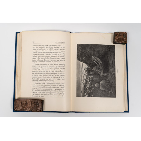 SZTOLCMAN J., Nad Nilem Niebieskim. Wyprawa myśliwska, Warszawa 1902