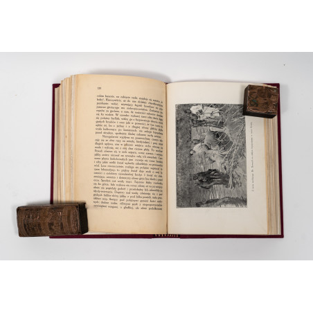 JAKUBSKI A., W krainach słońca. Kartki z podróży do Afryki Środkowej w latach 1909 i 1910, Lwów 1914