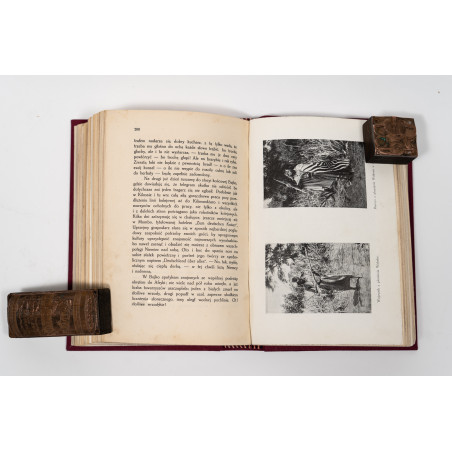 JAKUBSKI A., W krainach słońca. Kartki z podróży do Afryki Środkowej w latach 1909 i 1910, Lwów 1914