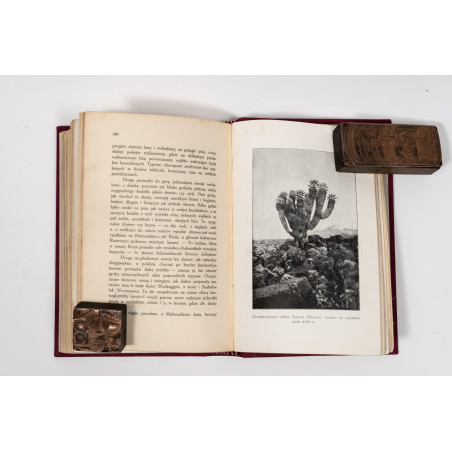 JAKUBSKI A., W krainach słońca. Kartki z podróży do Afryki Środkowej w latach 1909 i 1910, Lwów 1914