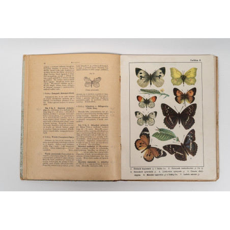 DYKOWSKI B., Atlas motyli krajowych. Z 218 wizerunkami kolorowemi, Warszawa 1906