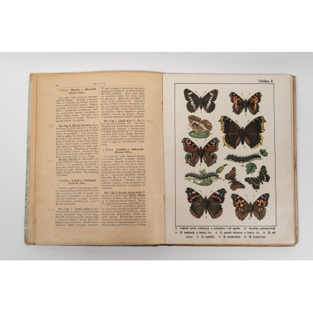 DYKOWSKI B., Atlas motyli krajowych. Z 218 wizerunkami kolorowemi, Warszawa 1906