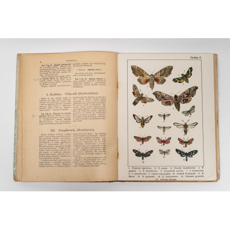 DYKOWSKI B., Atlas motyli krajowych. Z 218 wizerunkami kolorowemi, Warszawa 1906