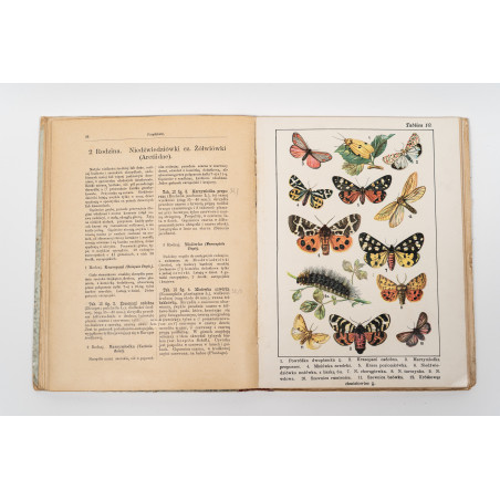DYKOWSKI B., Atlas motyli krajowych. Z 218 wizerunkami kolorowemi, Warszawa 1906