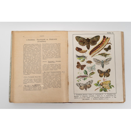 DYKOWSKI B., Atlas motyli krajowych. Z 218 wizerunkami kolorowemi, Warszawa 1906