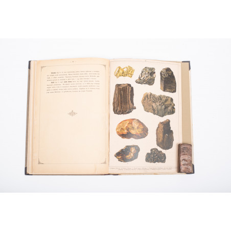 WERMIŃSKI F., Historia naturalna w obrazach. Botanika i mineralogia,  Warszawa 1893