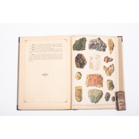 WERMIŃSKI F., Historia naturalna w obrazach. Botanika i mineralogia,  Warszawa 1893