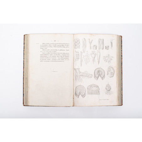 RICHARD A., Zasady botaniki i fizyologii roślin ułoż. przez Sz. Pisulewskiego, Warszawa 1840