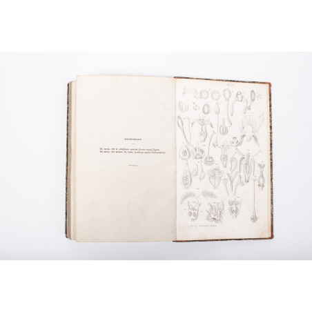 RICHARD A., Zasady botaniki i fizyologii roślin ułoż. przez Sz. Pisulewskiego, Warszawa 1840