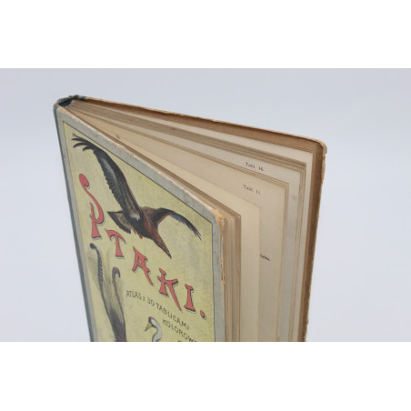 SCHLEYER A., Atlas ptaków. 30 tablic barwnych, Warszawa  1914