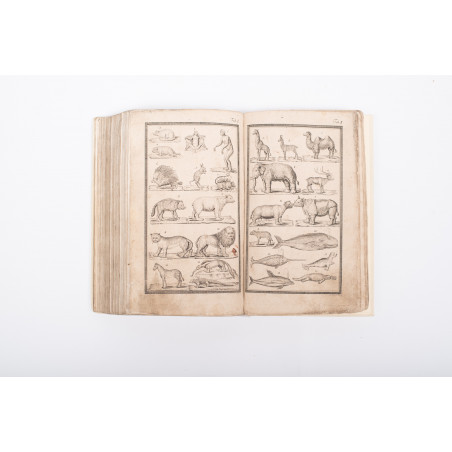 FUNKE [C.Ph.], Historya naturalna. Przeł. A. Kuszański, Wrocław 1820