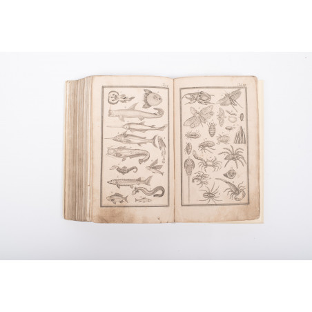 FUNKE [C.Ph.], Historya naturalna. Przeł. A. Kuszański, Wrocław 1820