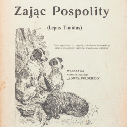 STEPHAN W., Zając pospolity (Lepus timidus), Warszawa 1905