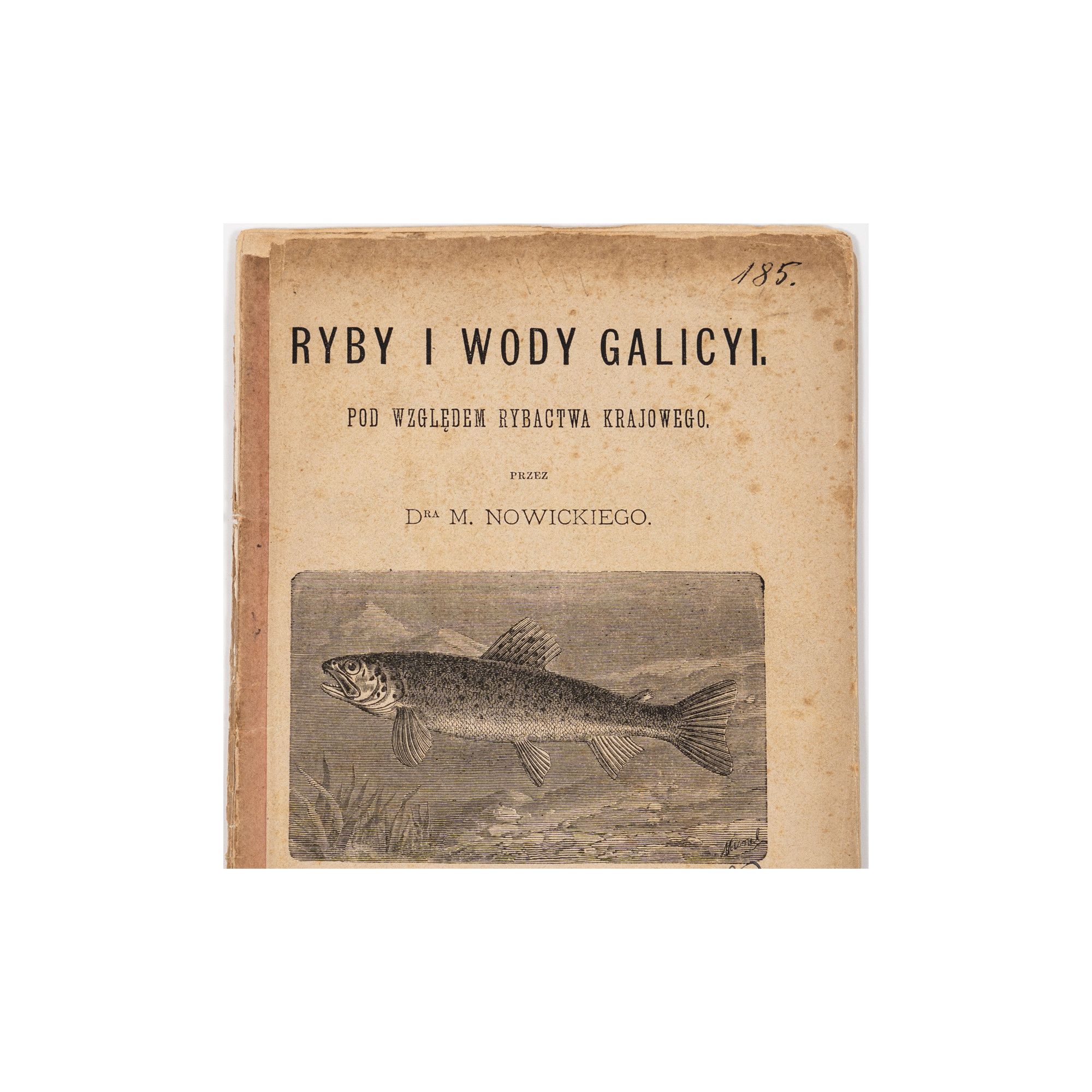 NOWICKI M., Ryby i wody Galicyi, Kraków 1880