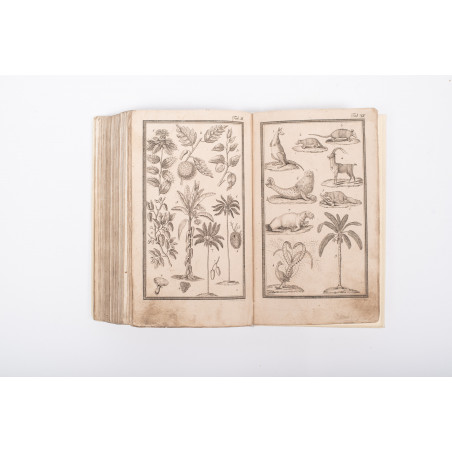 FUNKE [C.Ph.], Historya naturalna. Przeł. A. Kuszański, Wrocław 1820