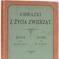 JANOTA E., ANCZYC W., Obrazki z życia zwierząt. Bóbr. Żubr, Kraków 1876